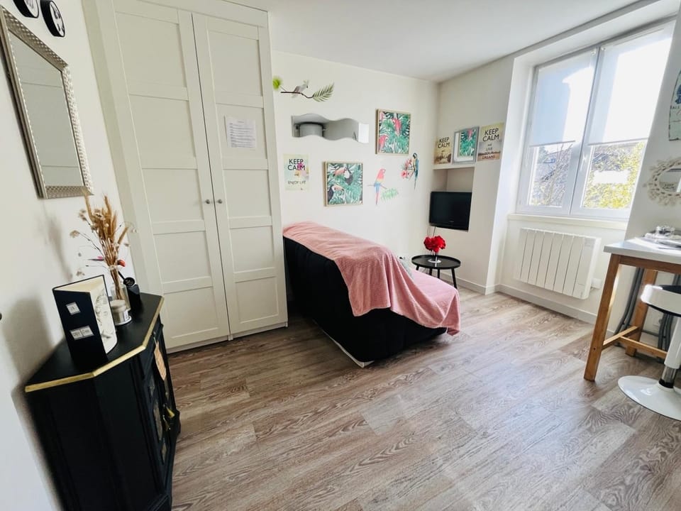 Le Cosy, Rives Entre Lyon et Grenoble, lit Queen 160, 4 pers, Calme côté jardin Apartment in Auvergne-Rhône-Alpes