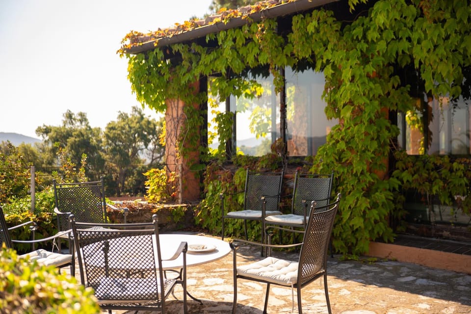 Day, Garden, Dining area