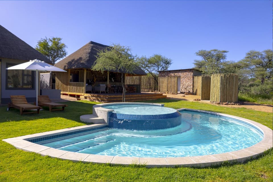 Garden, Lounge or bar, Swimming pool