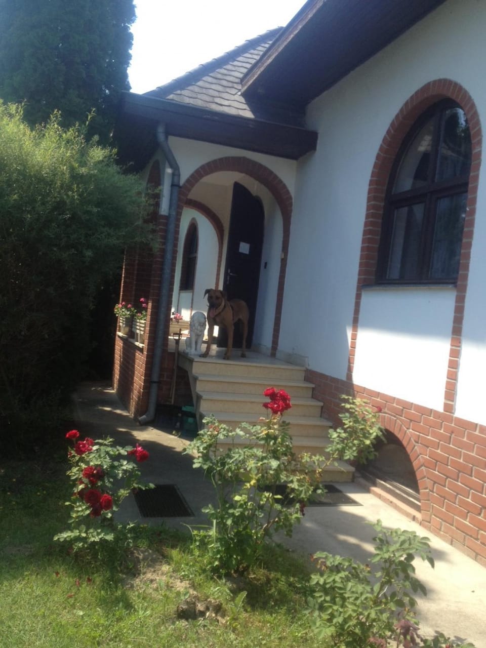 Property building, Facade/entrance, Balcony/Terrace