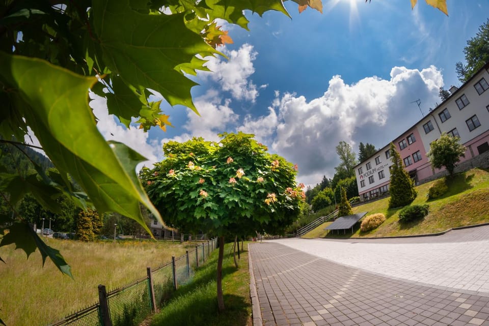Facade/entrance, Natural landscape, Summer, Other, Parking
