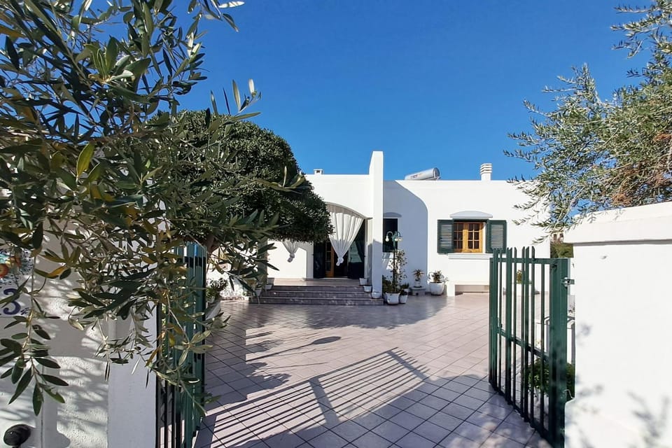 Property building, Spring, Summer, Garden, Inner courtyard view