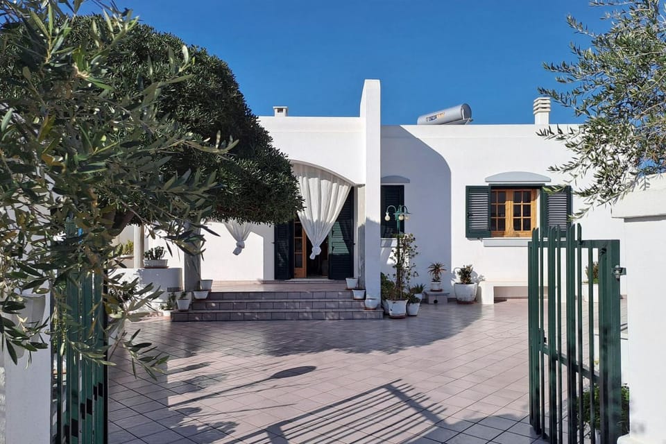 Property building, Spring, Summer, Garden
