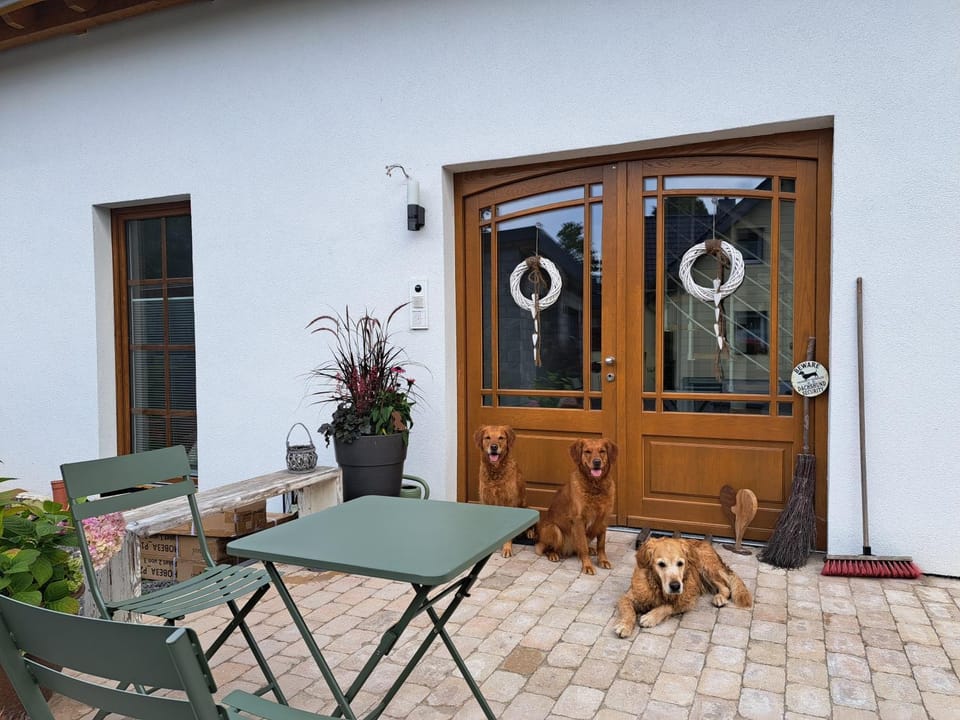 Facade/entrance, Pets, acessibility