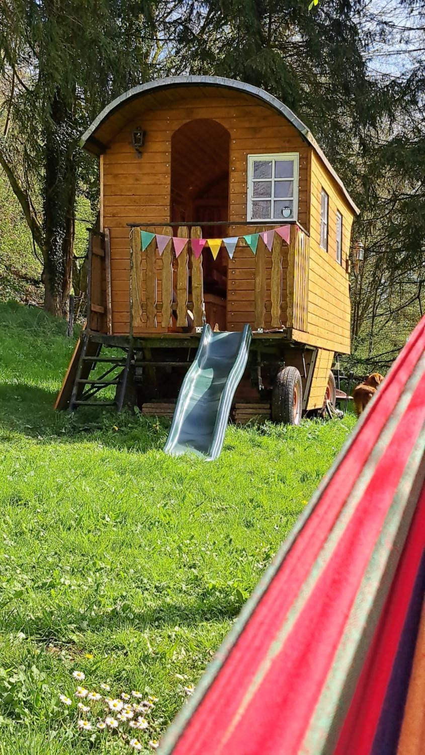 Spring, Natural landscape, Children play ground, Garden, Garden, Garden view