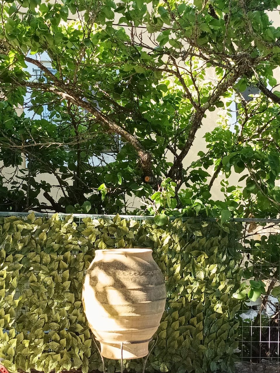 Garden view