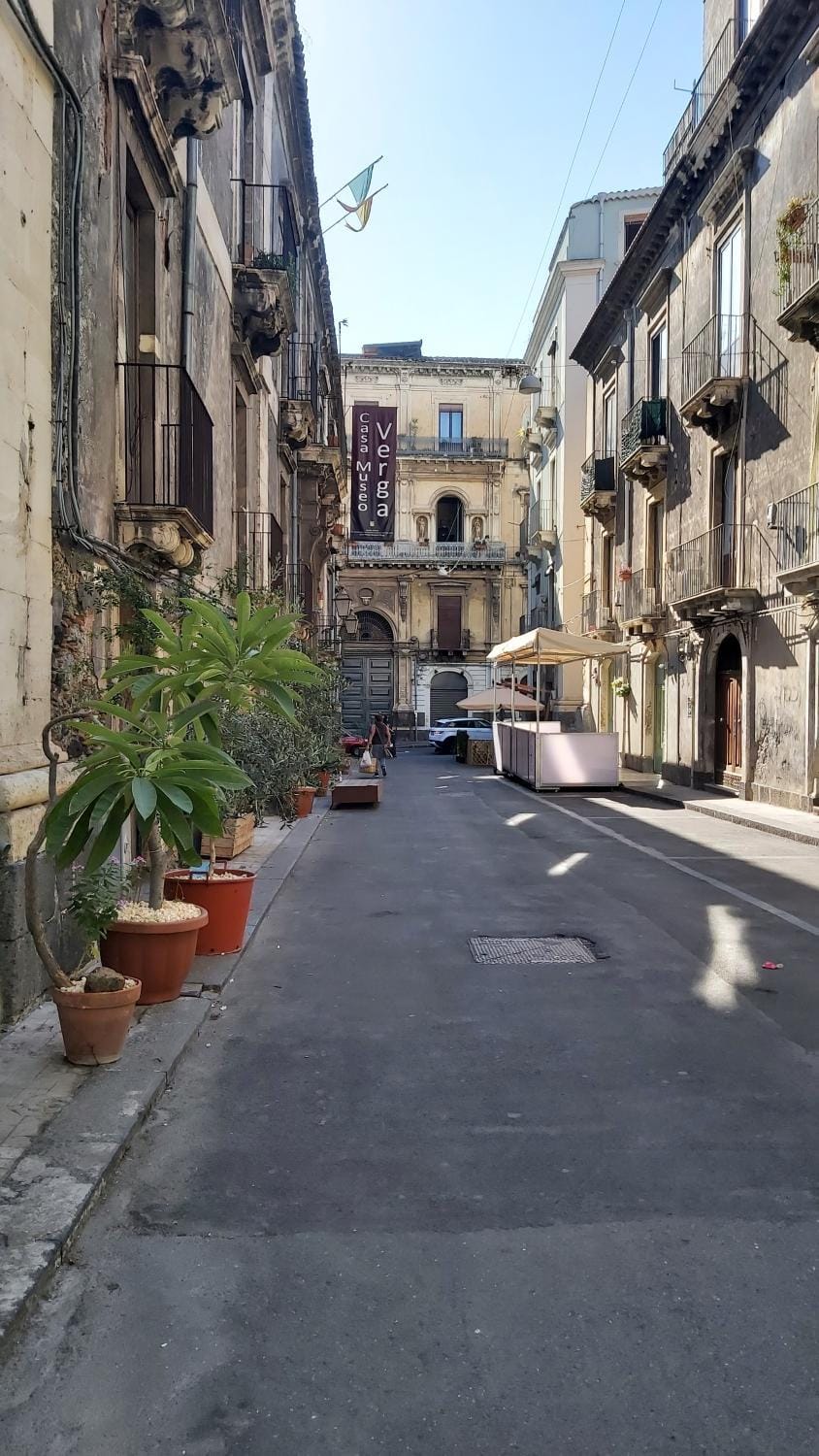 Neighbourhood, City view, Street view