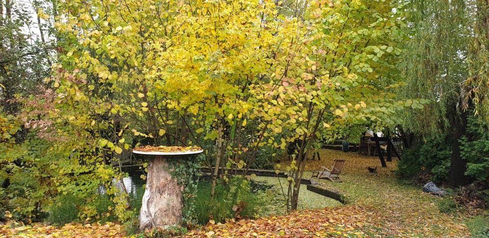 Lake view, Inner courtyard view
