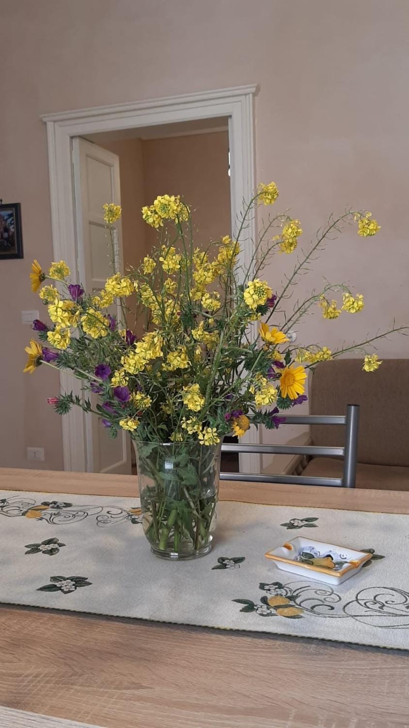 Flower house Apartment in Noto