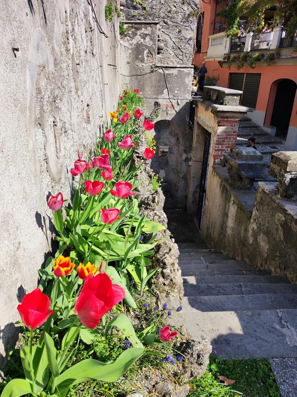 Spring, Garden, Garden view