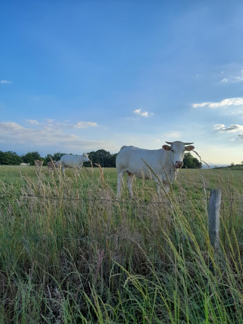 Natural landscape