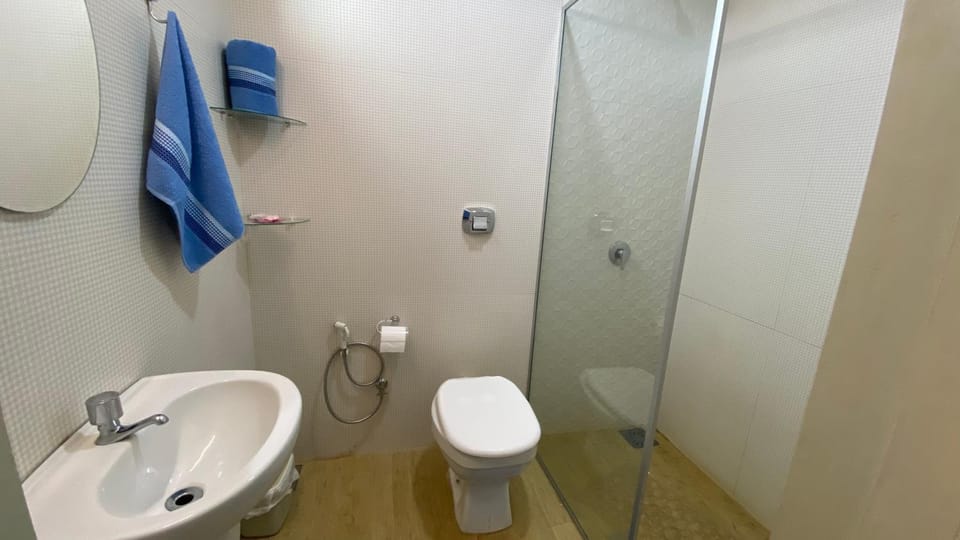 Bathroom, bidet, towels