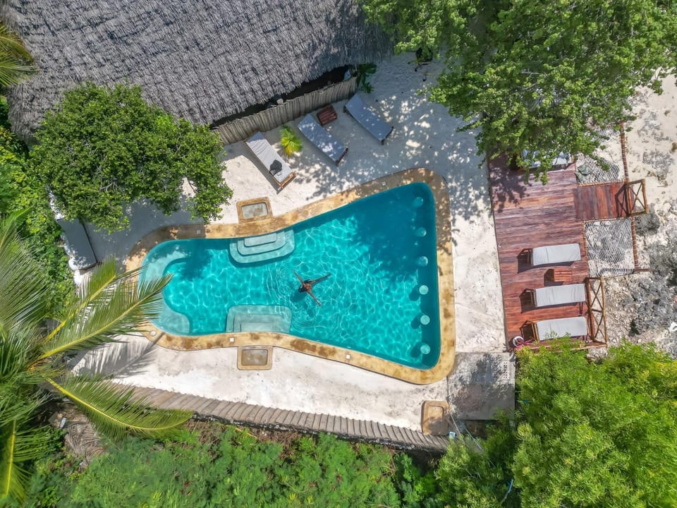 Restaurant/places to eat, Bird's eye view, Garden, Pool view, Swimming pool, Swimming pool, sunbed
