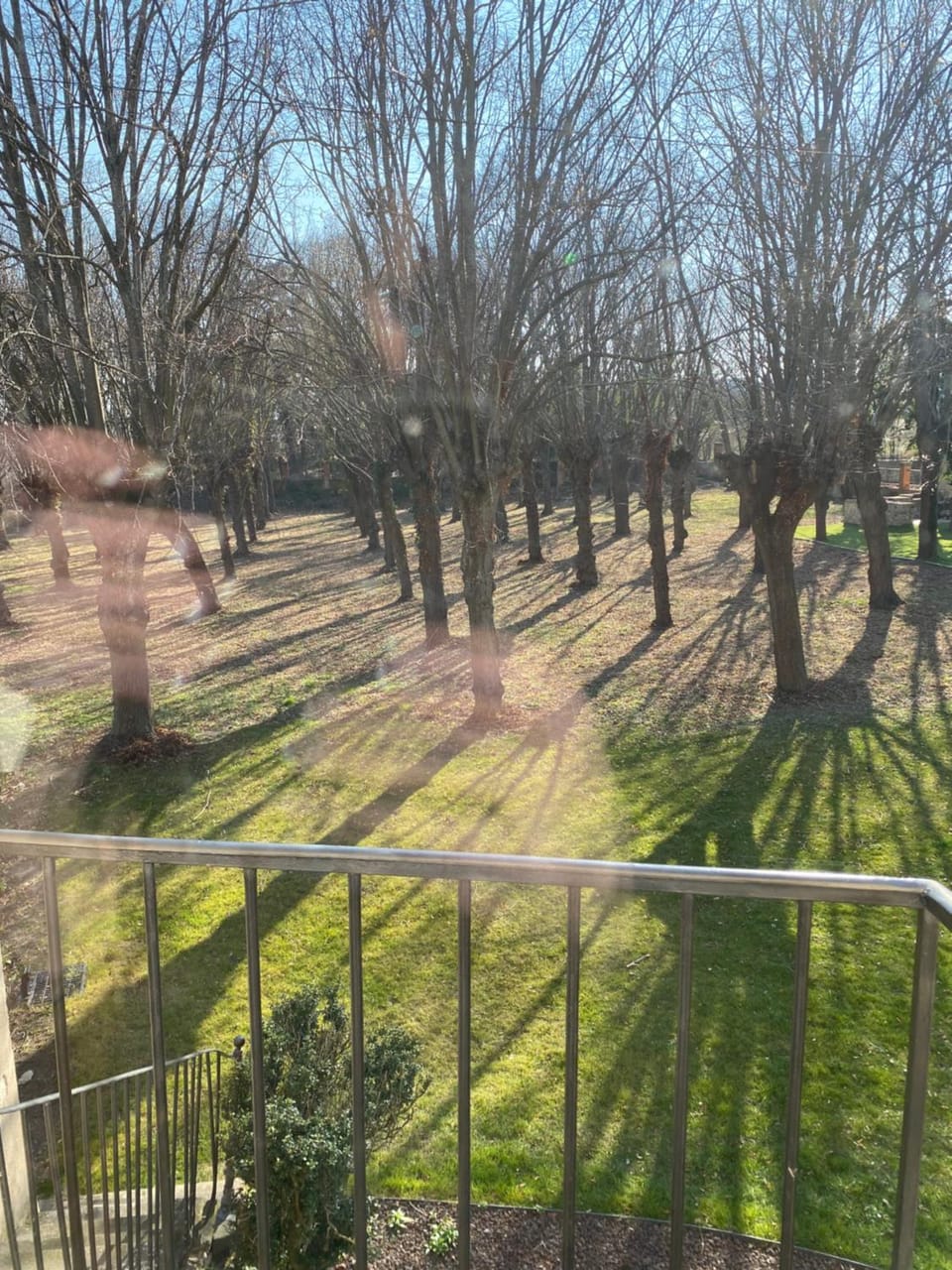 Garden view