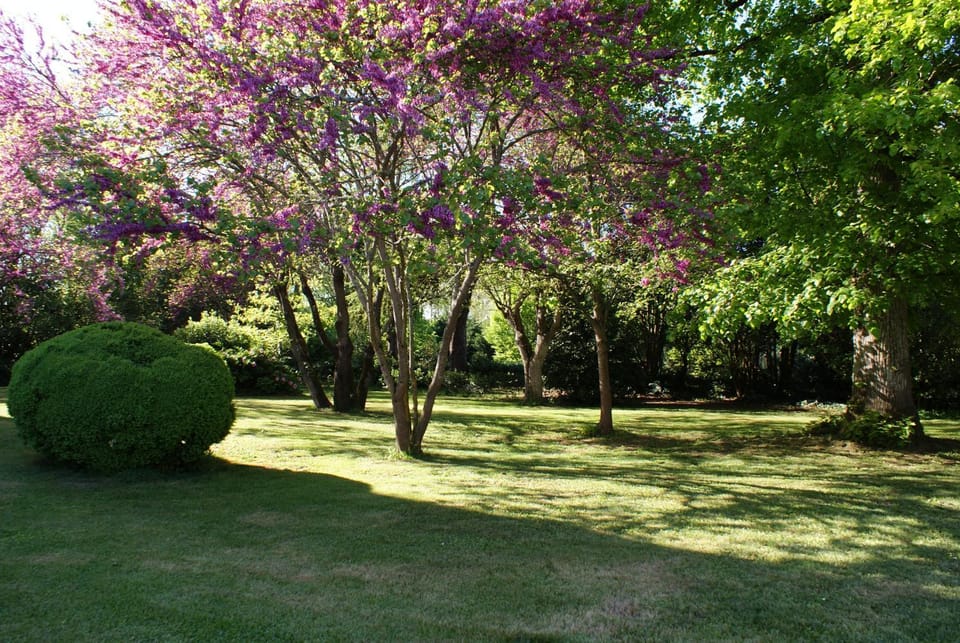 Chateau De Grenier Apartment Apartment in Occitanie