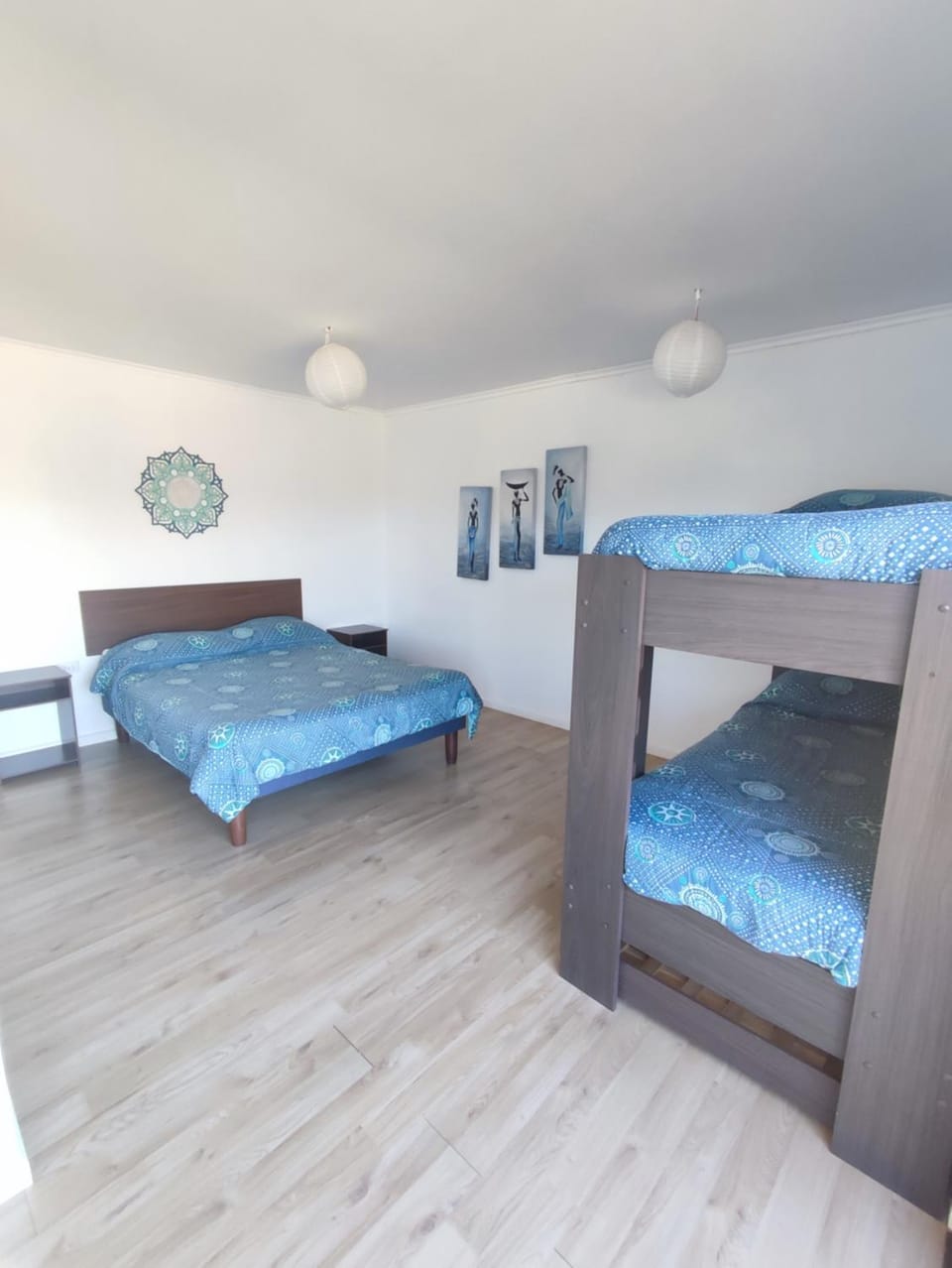 Bed, Photo of the whole room, Bedroom, bunk bed