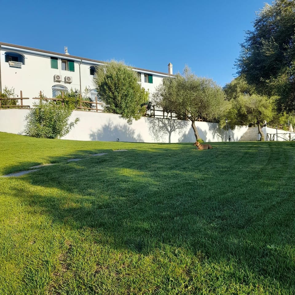 Property building, Day, Natural landscape, Garden, Garden view