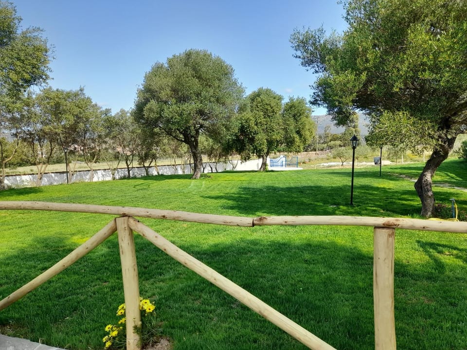 Day, Natural landscape, Garden, Garden view