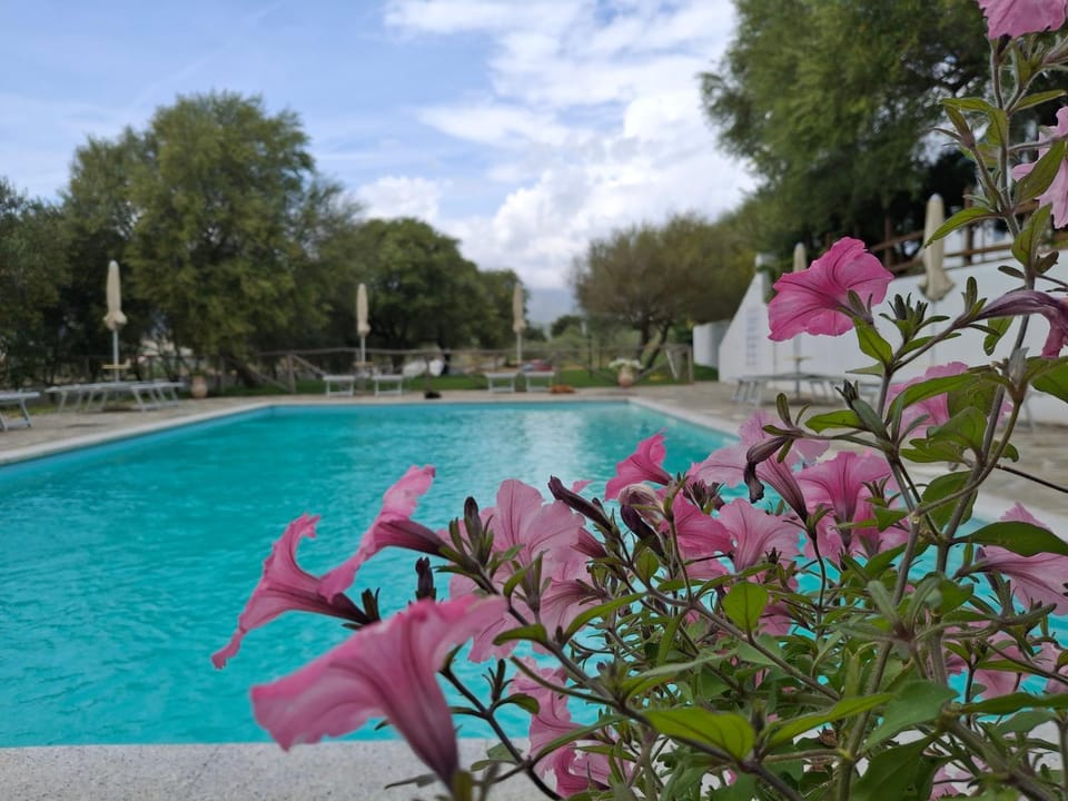 Day, Garden, Garden view, Pool view, Swimming pool