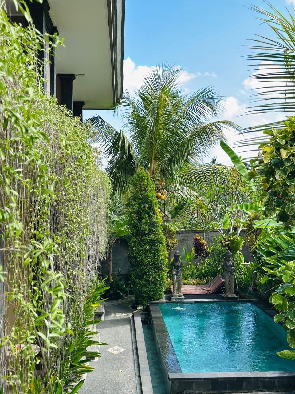 Garden, Swimming pool, Swimming pool