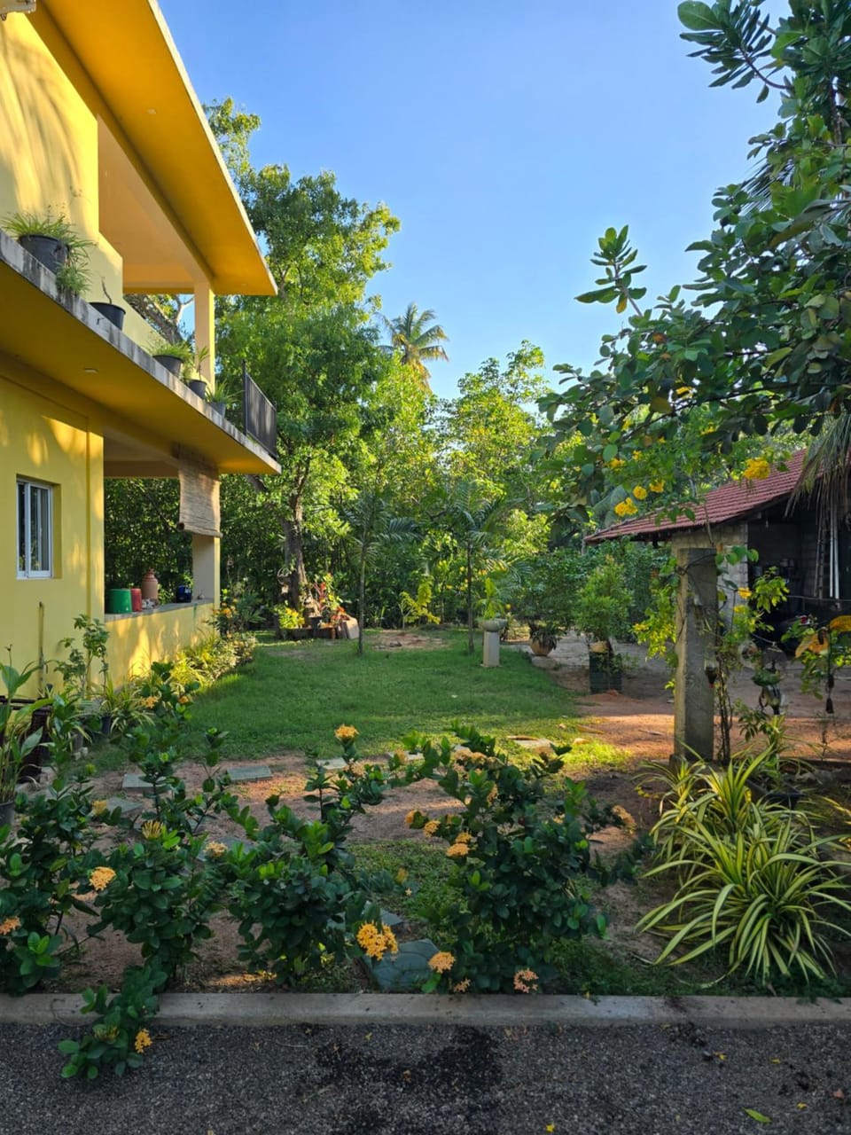 Property building, Garden, Garden view