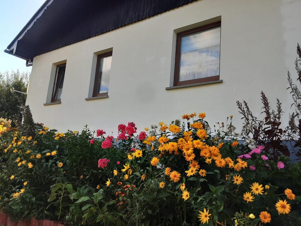 Ferienhaus Werner House in Saxony