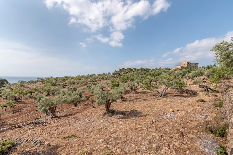 Deià semi-detached sunny country house, near GR221 House in Serra de Tramuntana