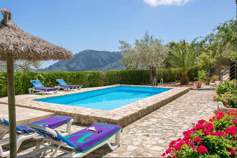 Garden, Mountain view, Swimming pool, sunbed