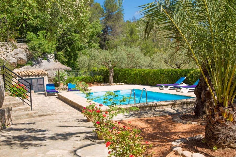 Patio, Garden, Garden view, sunbed