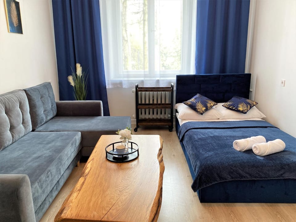 Bed, Living room, Photo of the whole room
