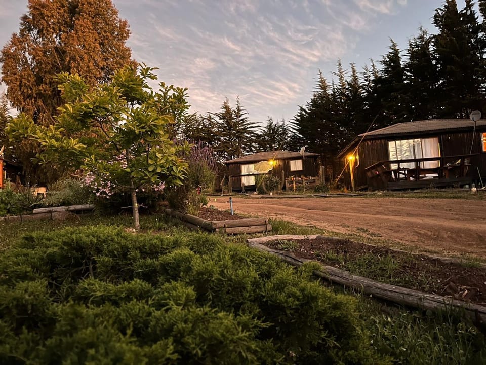 Property building, Garden view