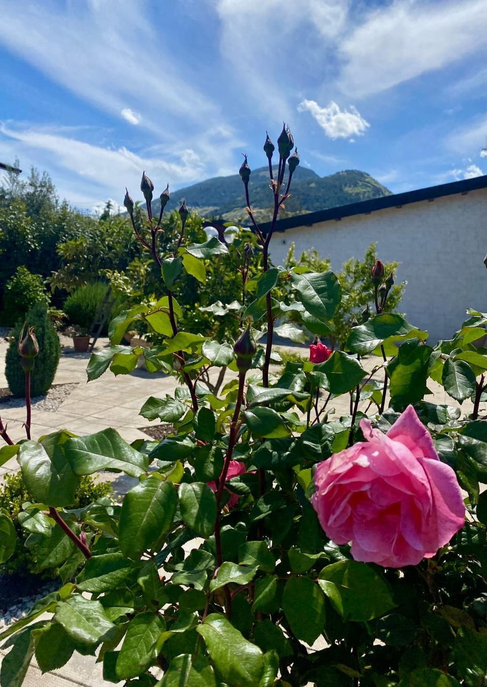 Spring, Natural landscape, Garden, Garden view, Mountain view