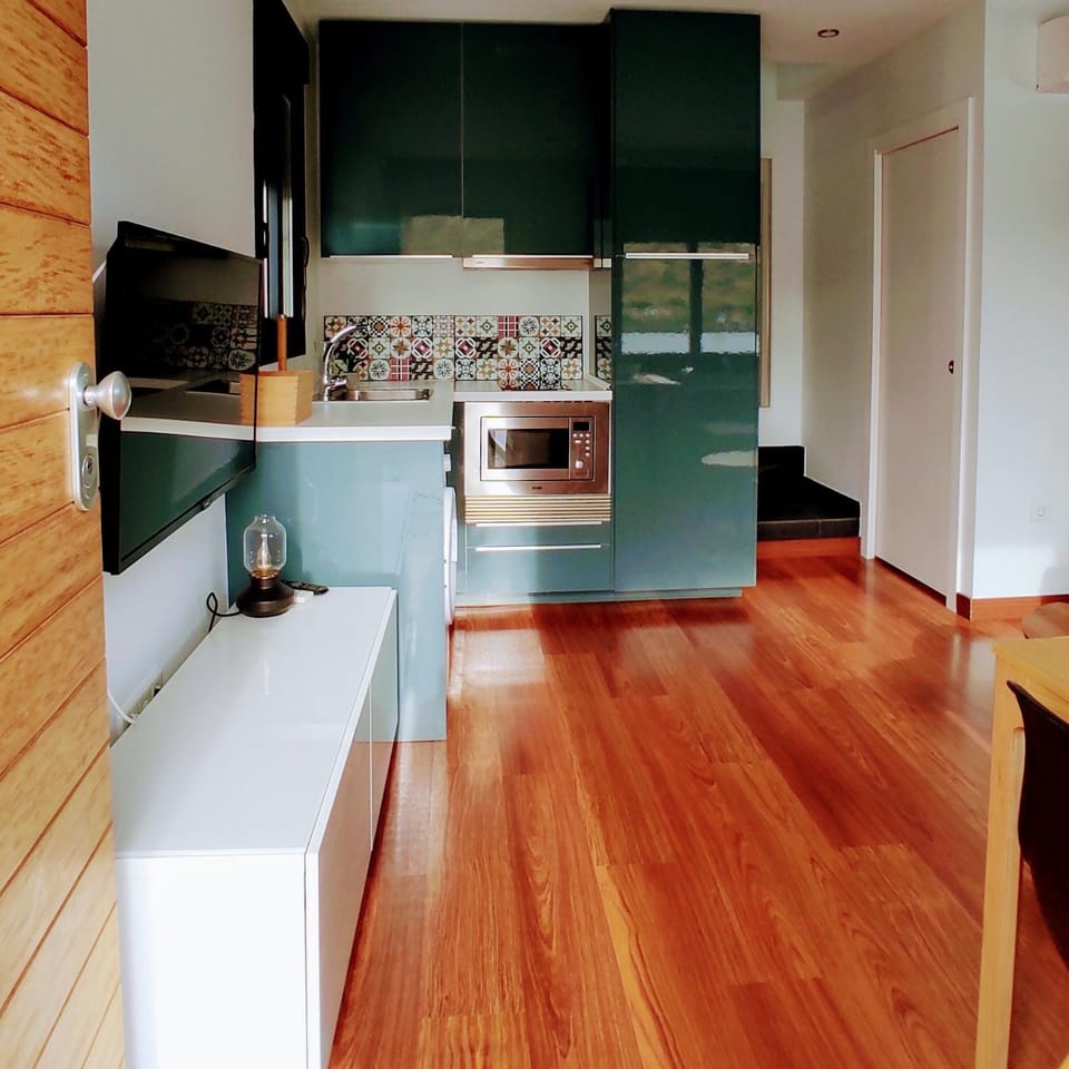 Kitchen or kitchenette, minibar, stove, toaster