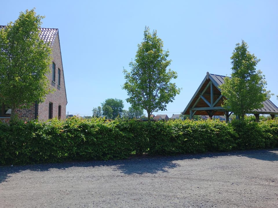 Property building, Natural landscape, Garden