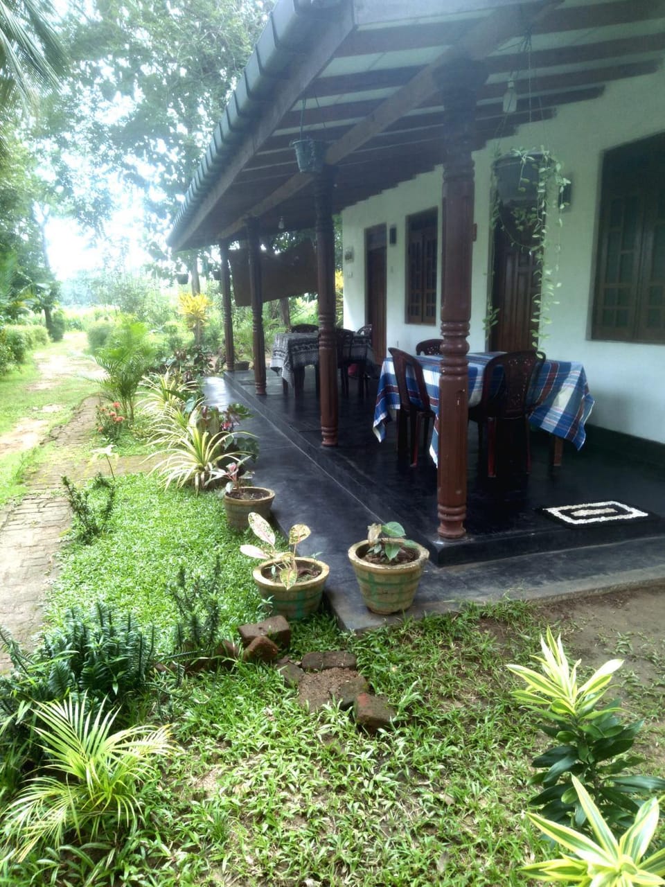 Property building, Garden view