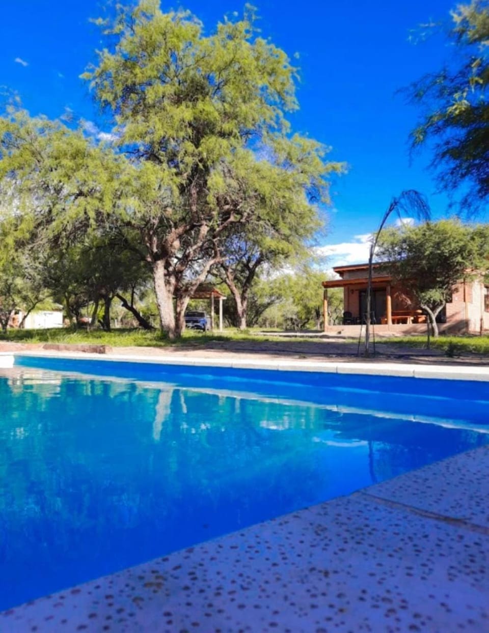 Garden, Pool view, Swimming pool