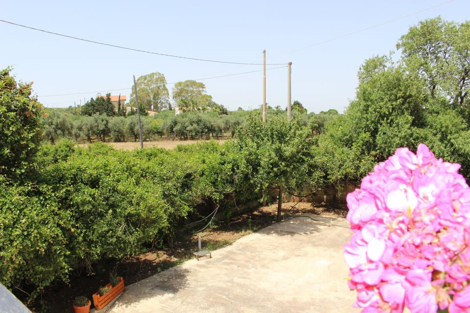 Garden, Garden view