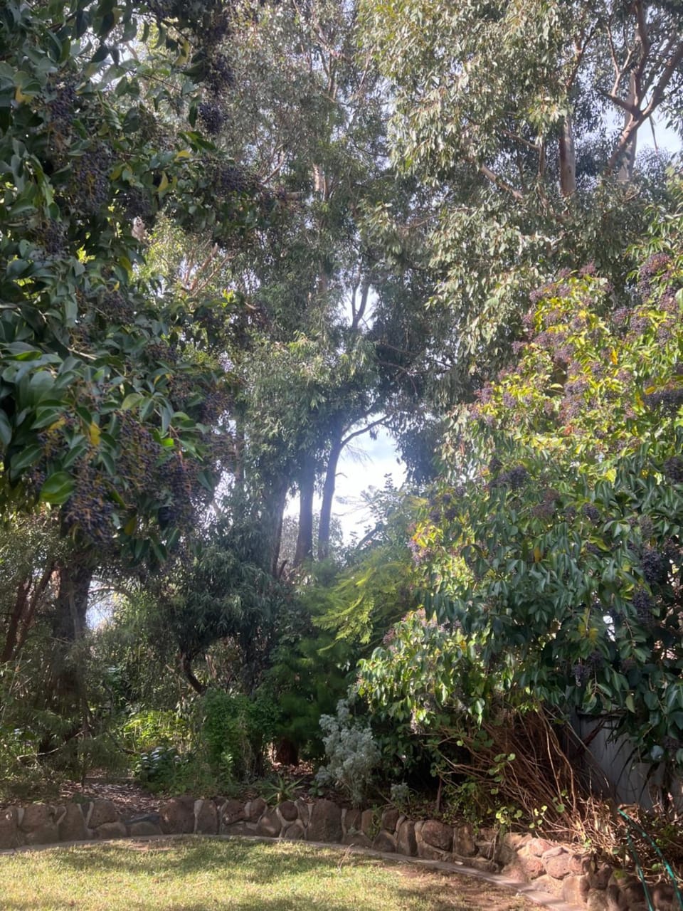 Bird Paradise In Bush setting Apartment in Bendigo