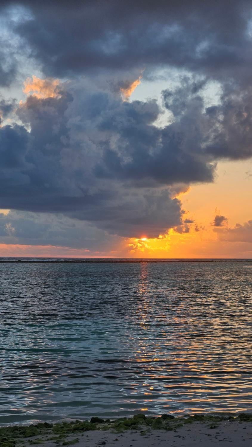 Palmrest Kaashidhoo Maldives Bed and Breakfast in Maldives