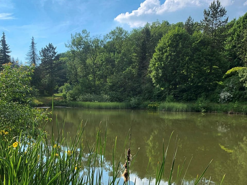 Natural landscape