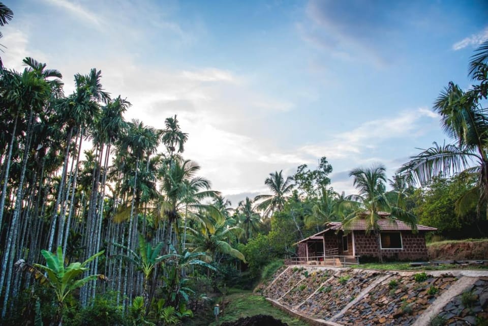 Dandeli Jungle Resort Hotel in Karnataka