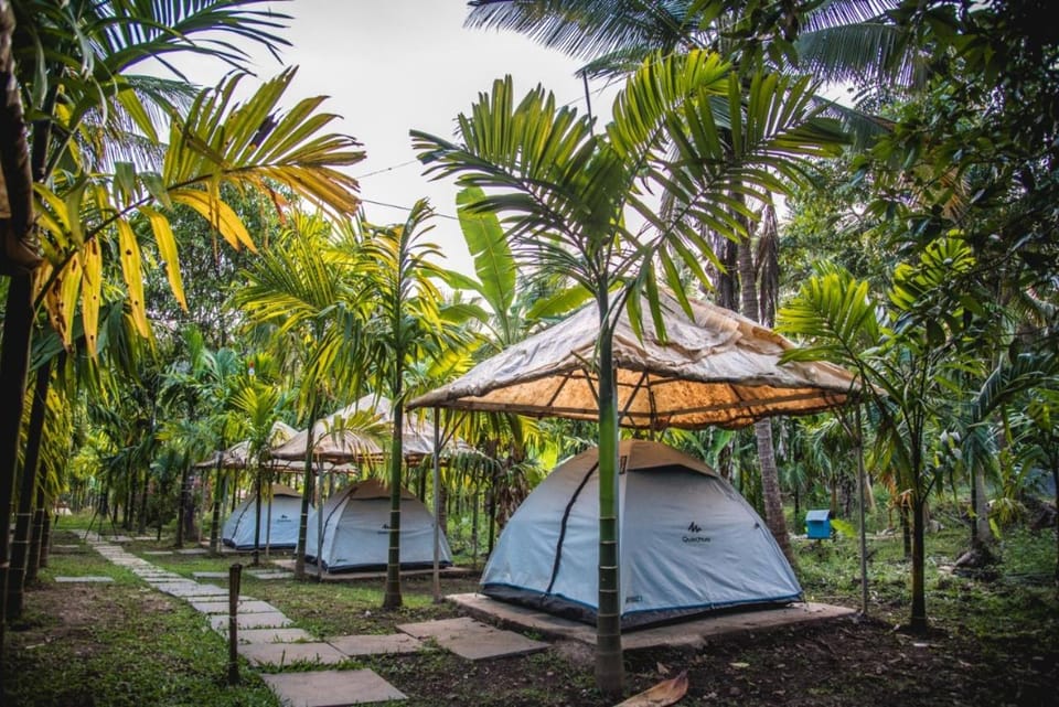 Dandeli Jungle Resort Hotel in Karnataka