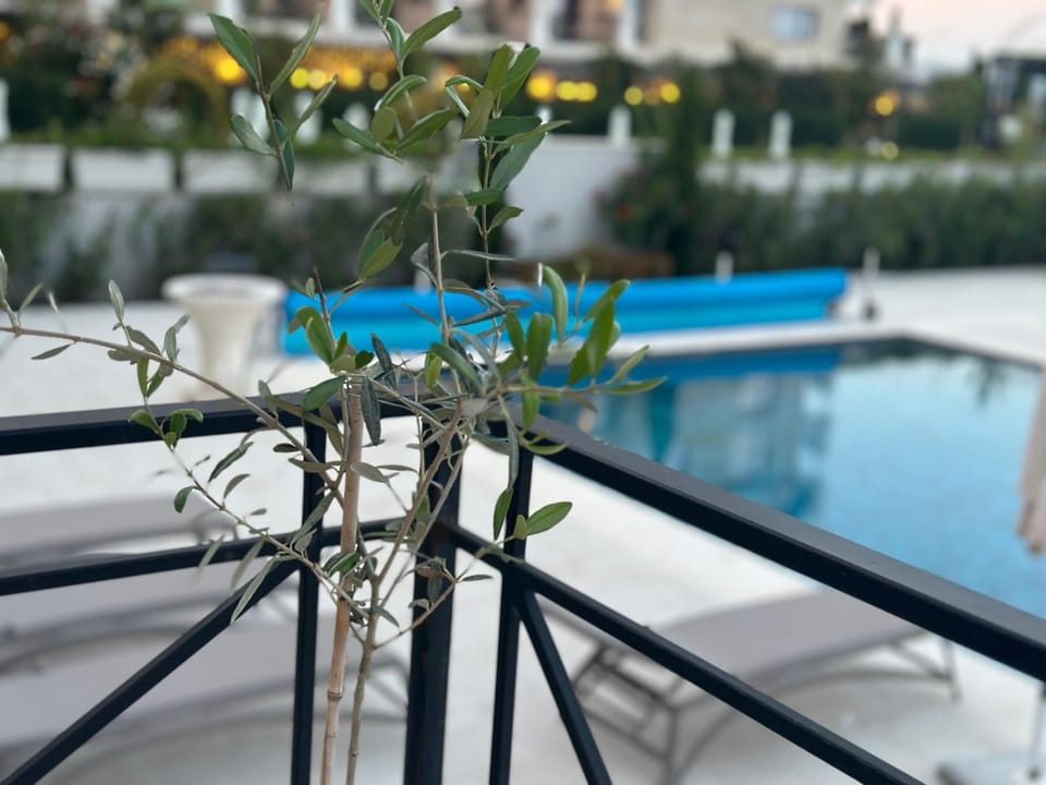 Pool view, Swimming pool