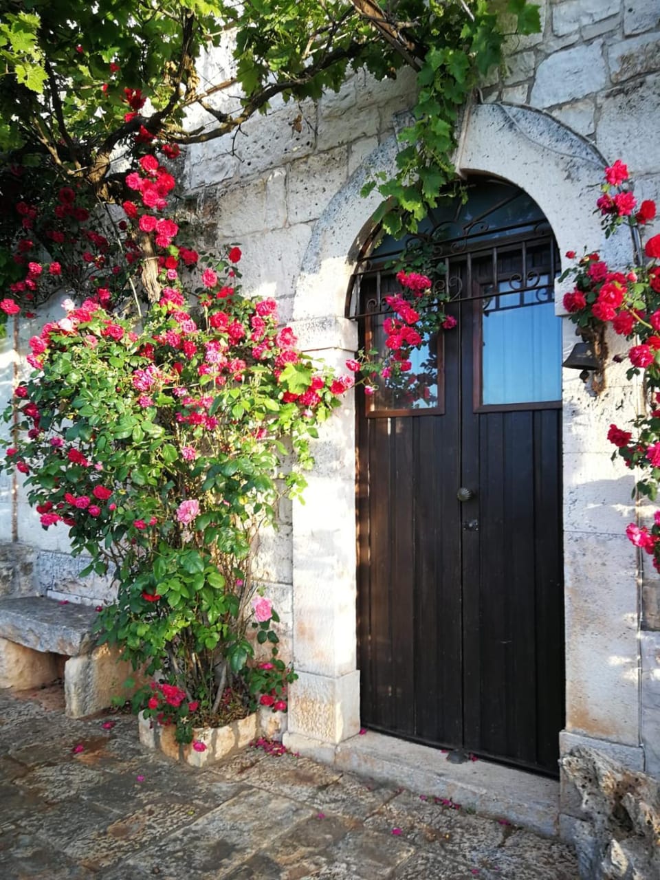 Property building, Garden, Garden view