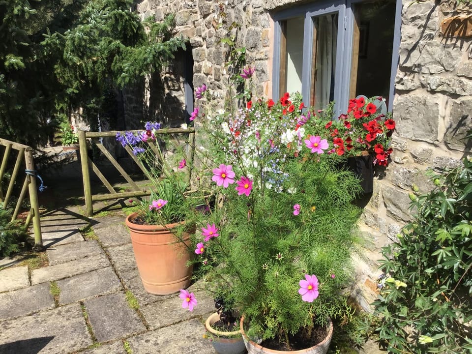 Lee house farm holiday cottage with possible use of hot tub ninety pounds a session House in Staffordshire Moorlands District