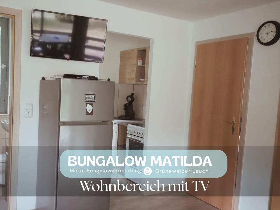 TV and multimedia