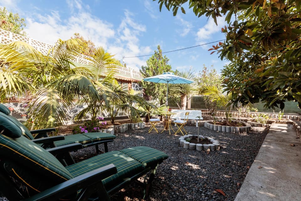 Patio, Garden