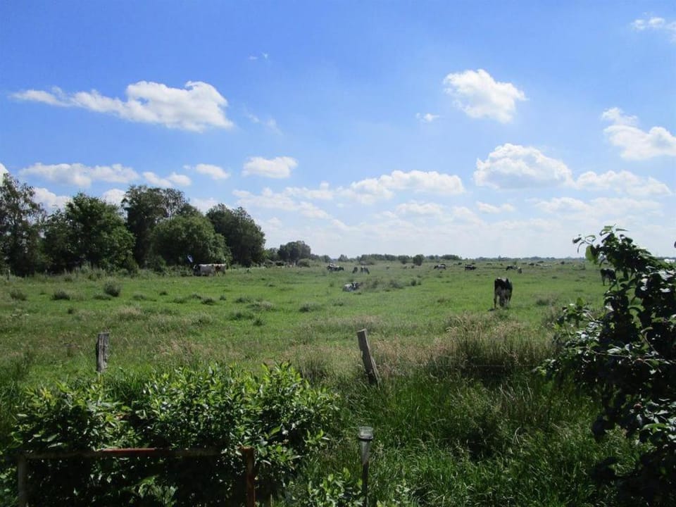 Neighbourhood