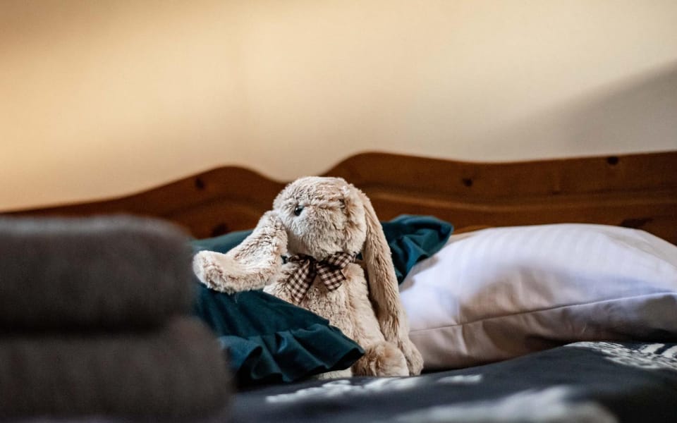Bed, Photo of the whole room, Bedroom, Pets, towels