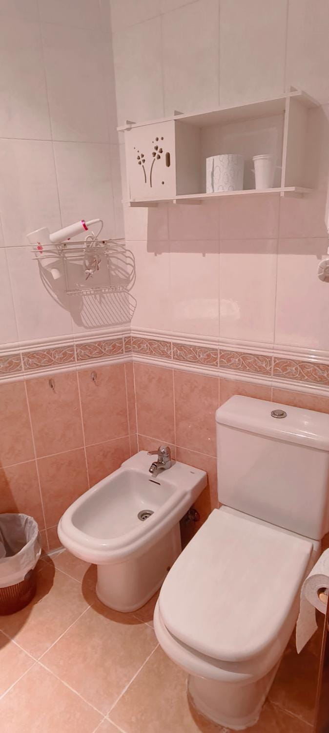 Toilet, Bathroom, bidet